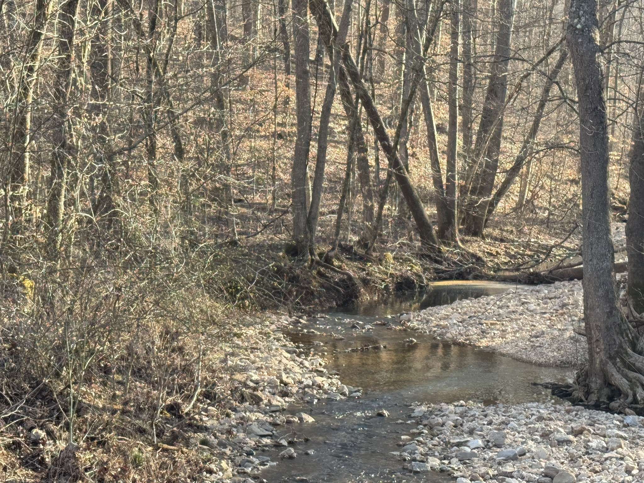 Dover, TN 37058,1 Cox Hollow Rd
