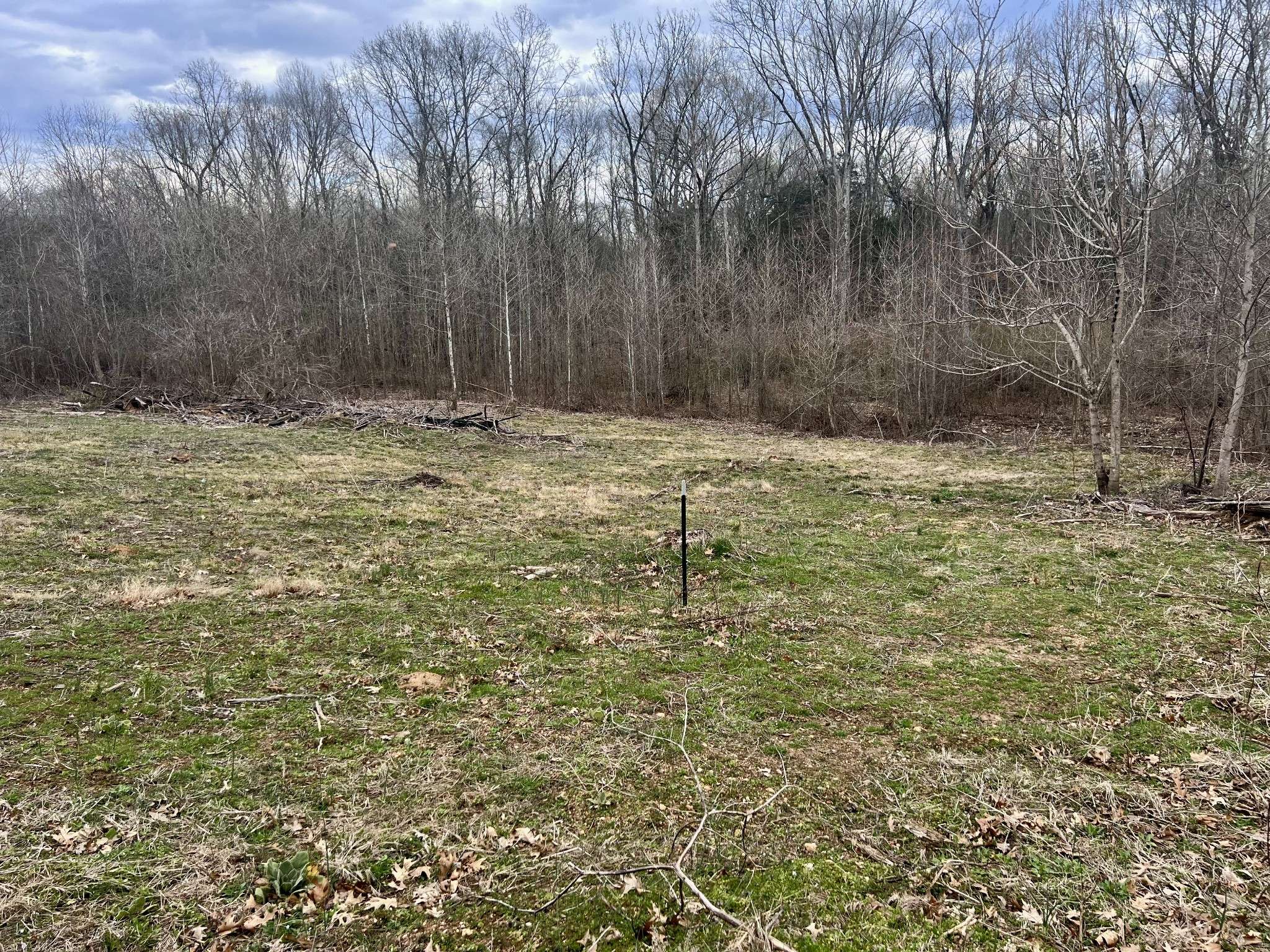 Clifton, TN 38425,0 TATOR BUG LANE