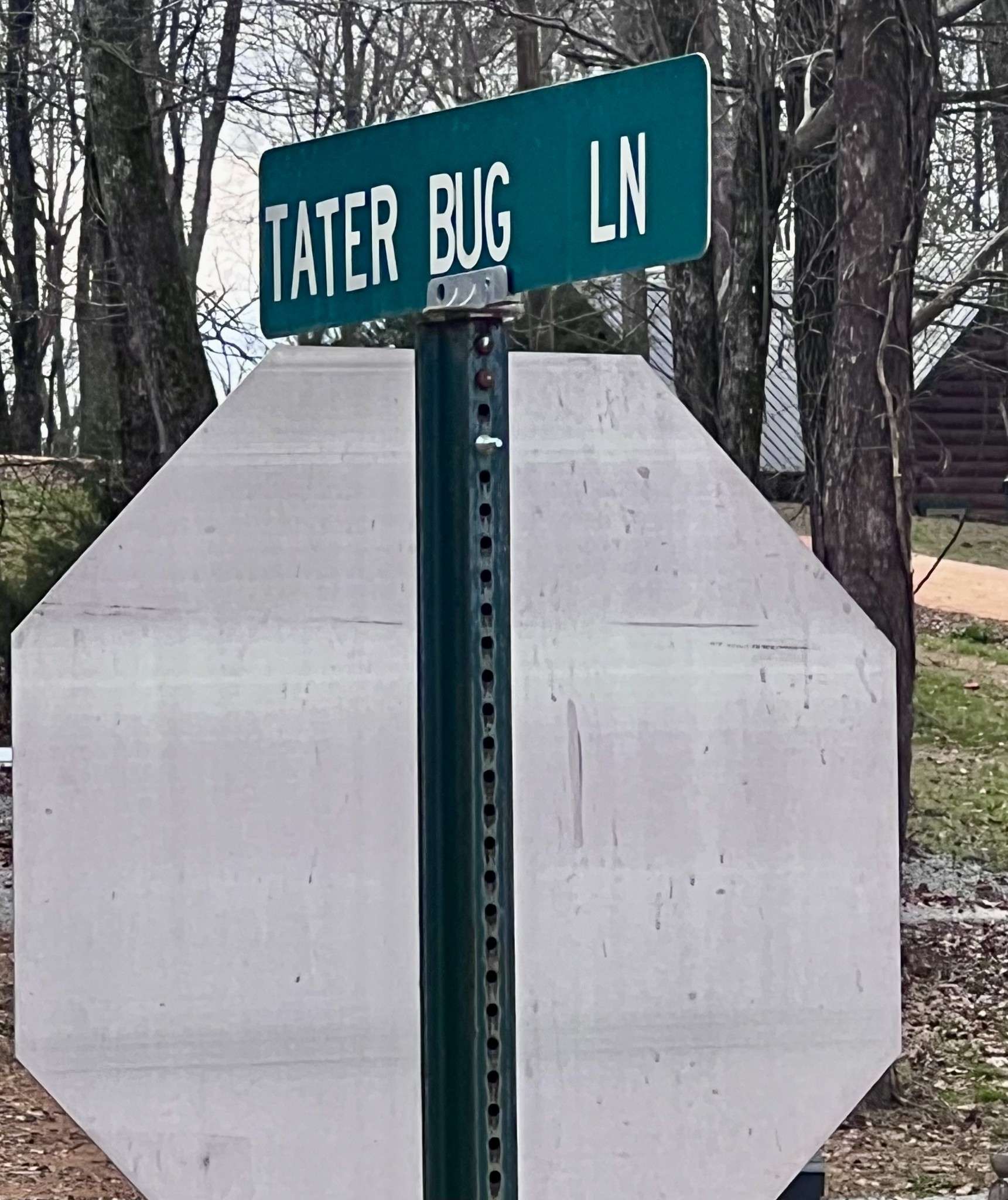 Clifton, TN 38425,0 TATOR BUG LANE