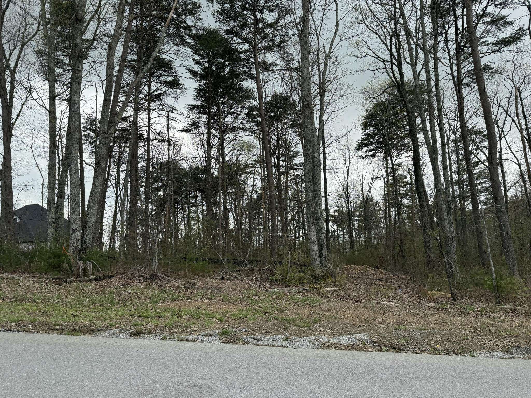 Signal Mountain, TN 37377,8216 Mountain Laurel Trail