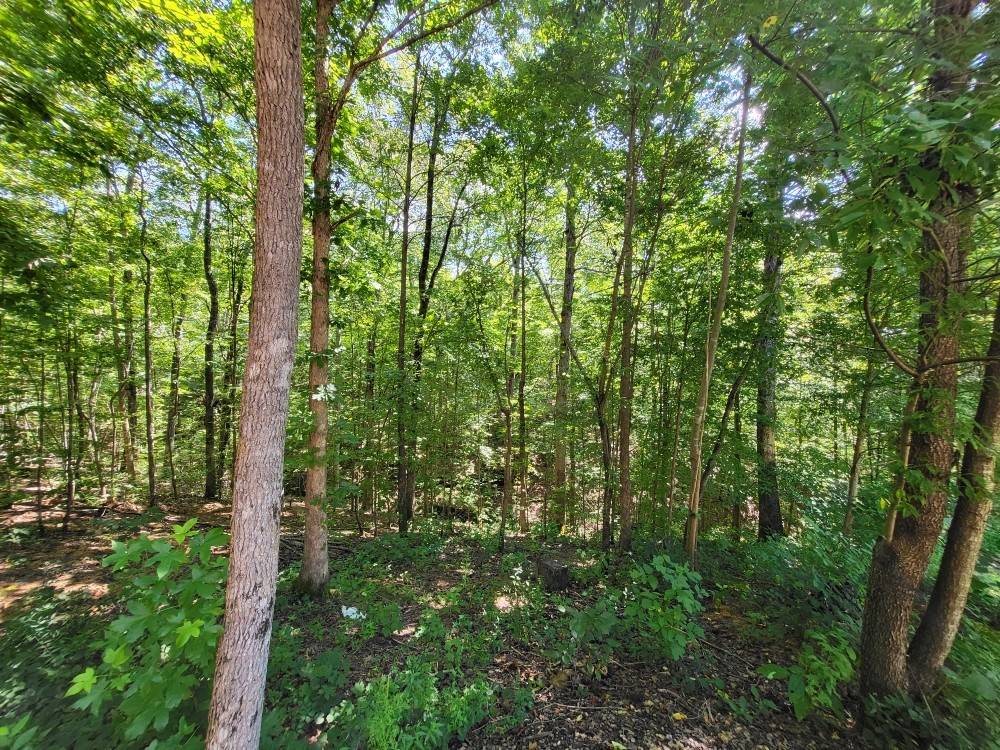 Linden, TN 37096,6704 Rockhouse Rd