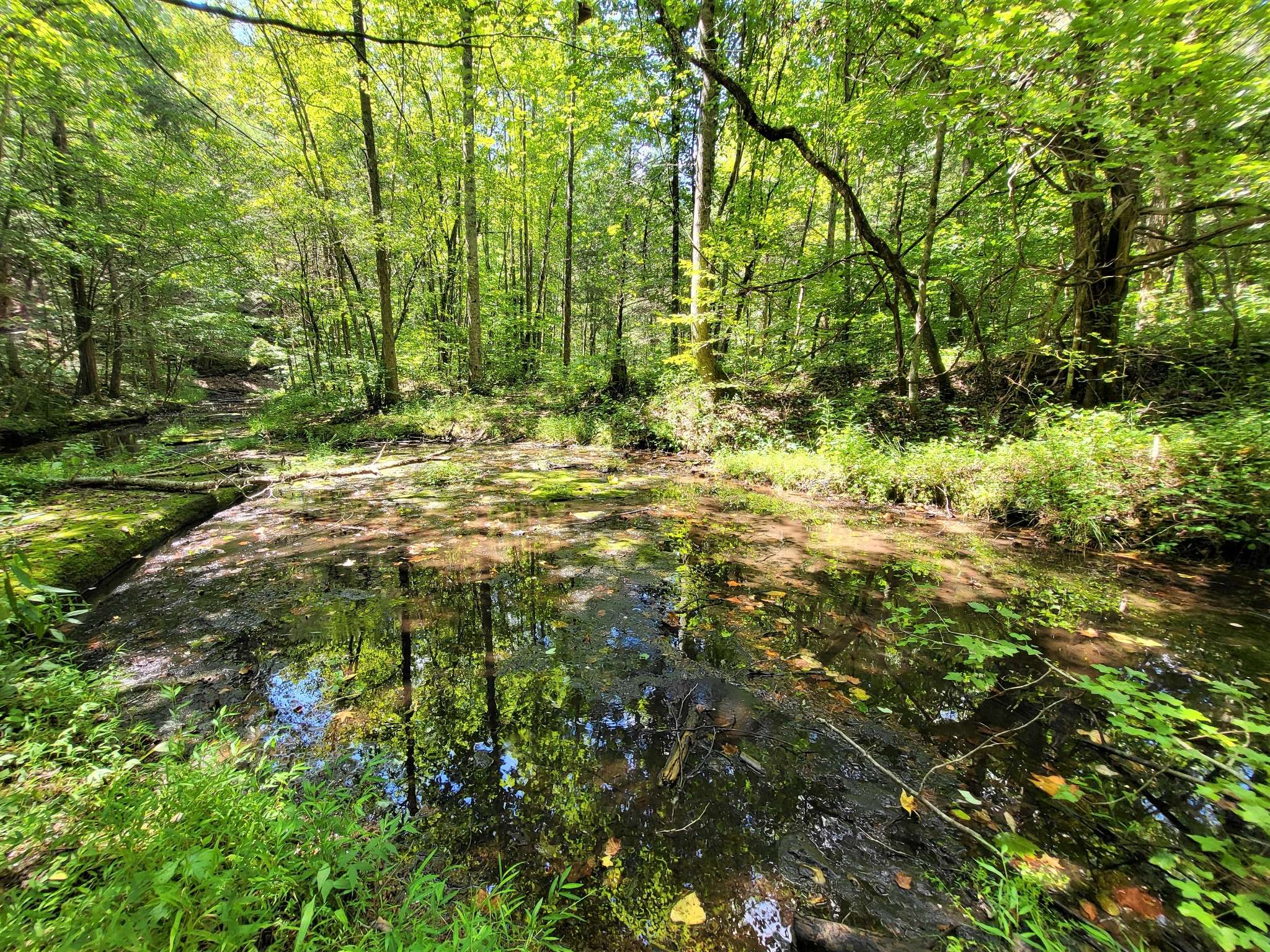 Linden, TN 37096,6704 Rockhouse Rd