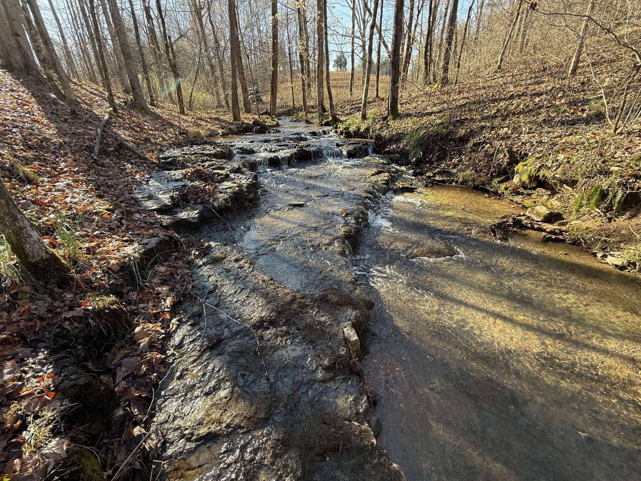 Loretto, TN 38469,609 Clax Branch Rd