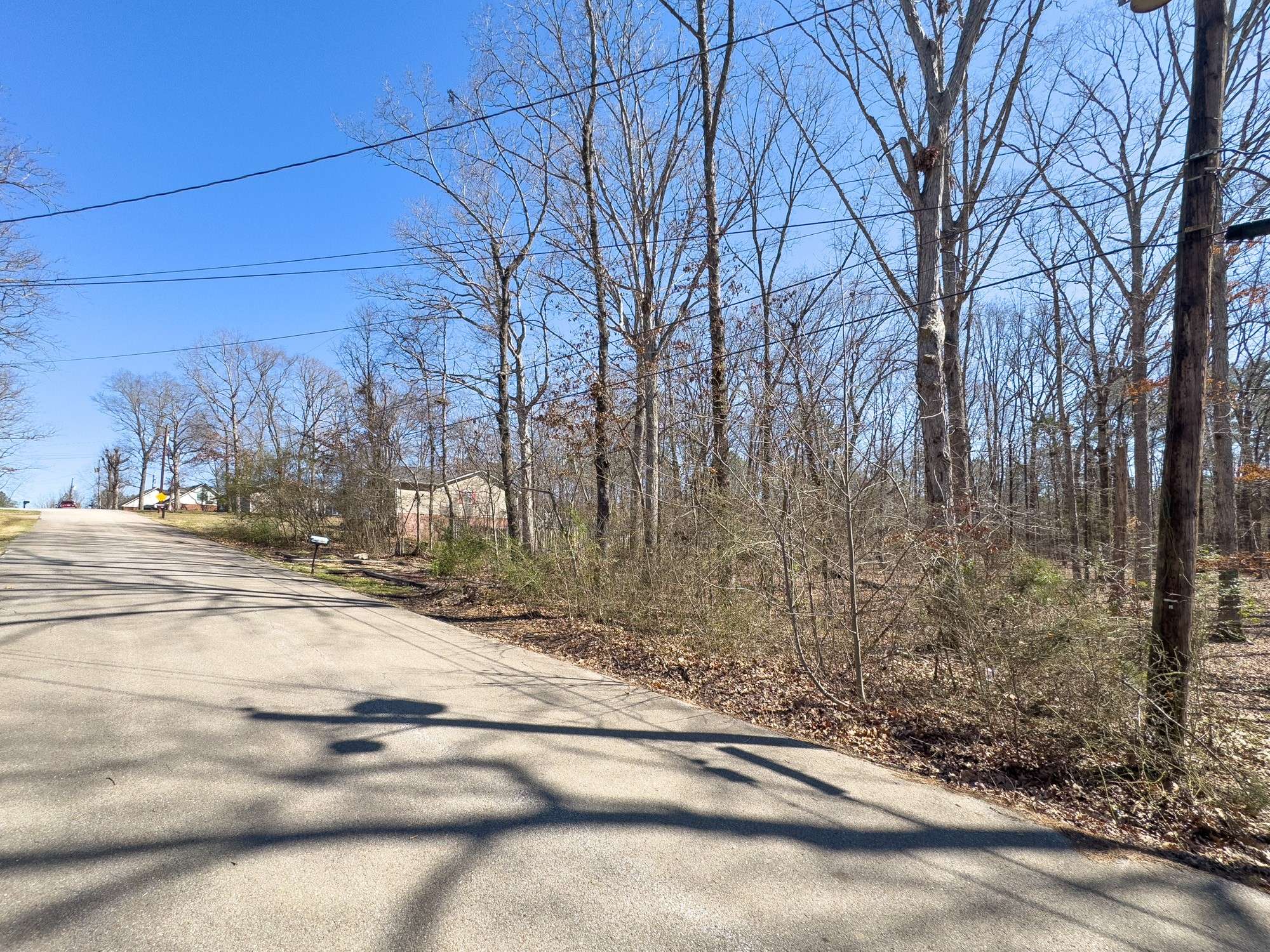 Huntingdon, TN 38344,0 Morningside Dr