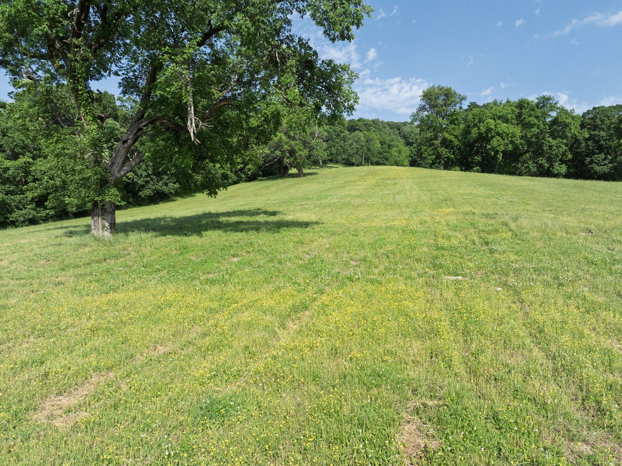 Franklin, TN 37069,1381 Old Hillsboro Rd