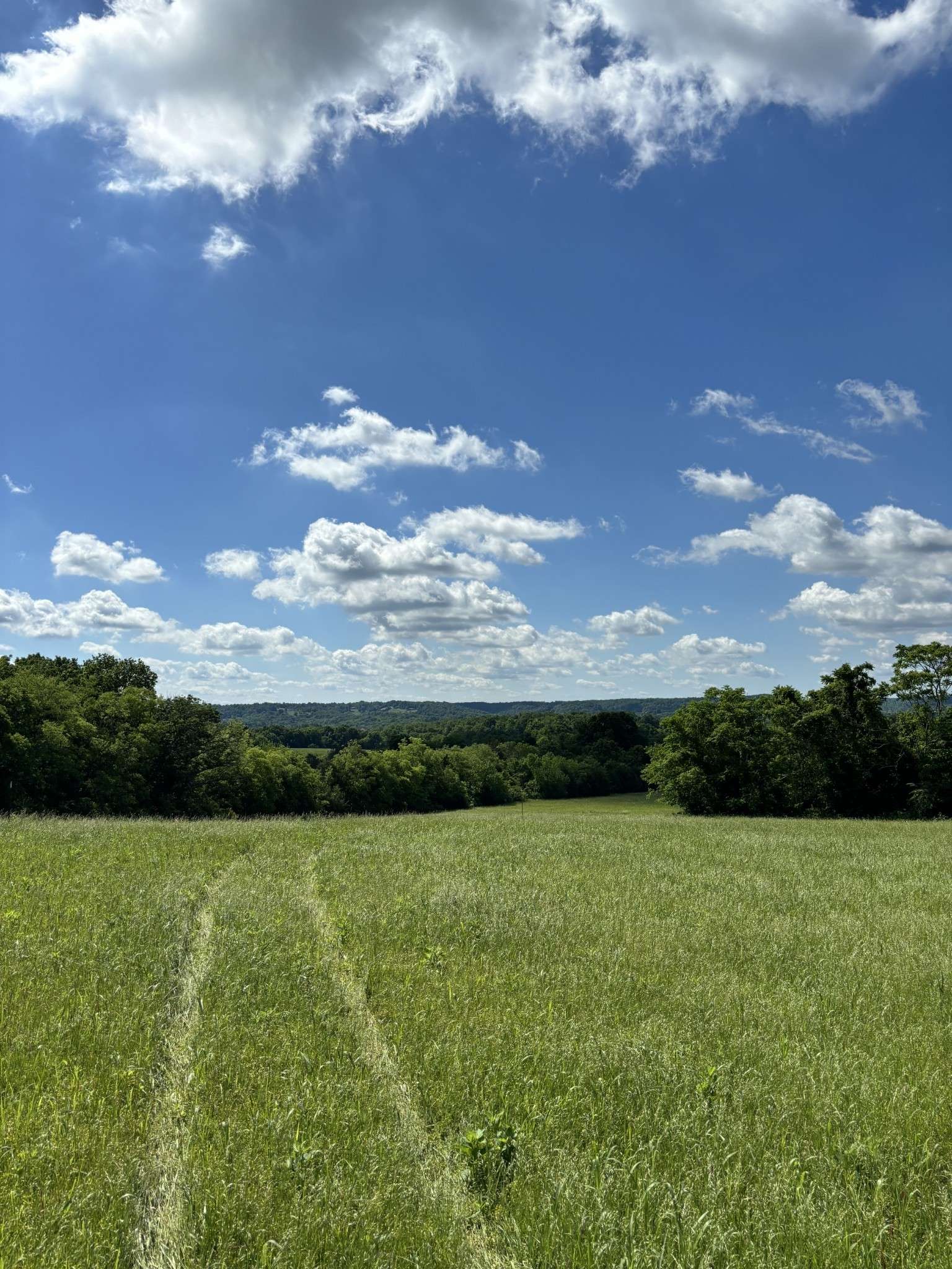 Wartrace, TN 37183,1091 Bugscuffle Rd