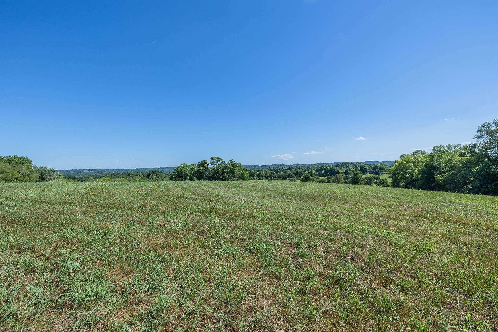 Wartrace, TN 37183,1091 Bugscuffle Rd