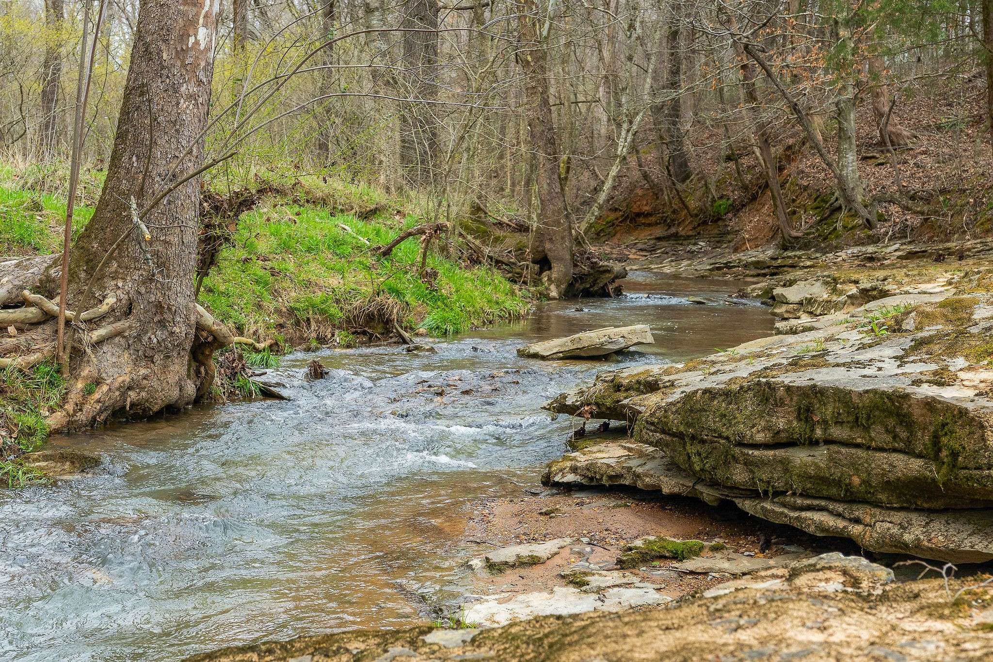 Sparta, TN 38583,252 Ashley Ln