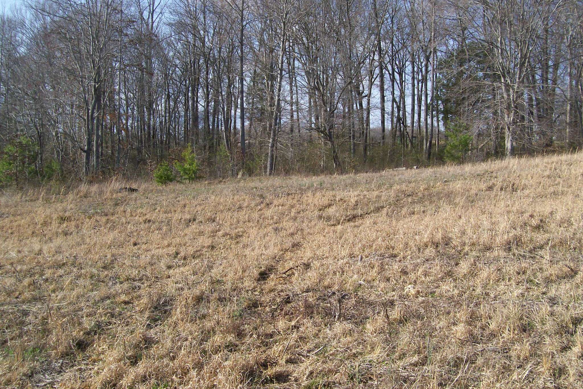 Rock Island, TN 38581,0 Rock Station Road