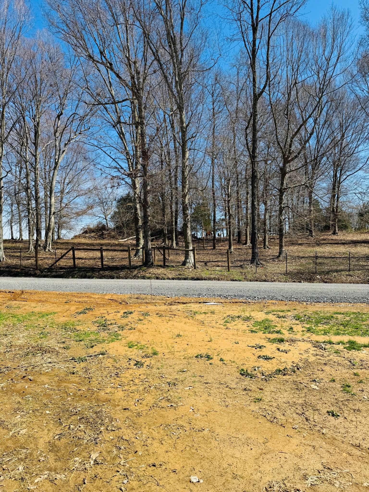 Lafayette, TN 37083,5096 White Springs Ln