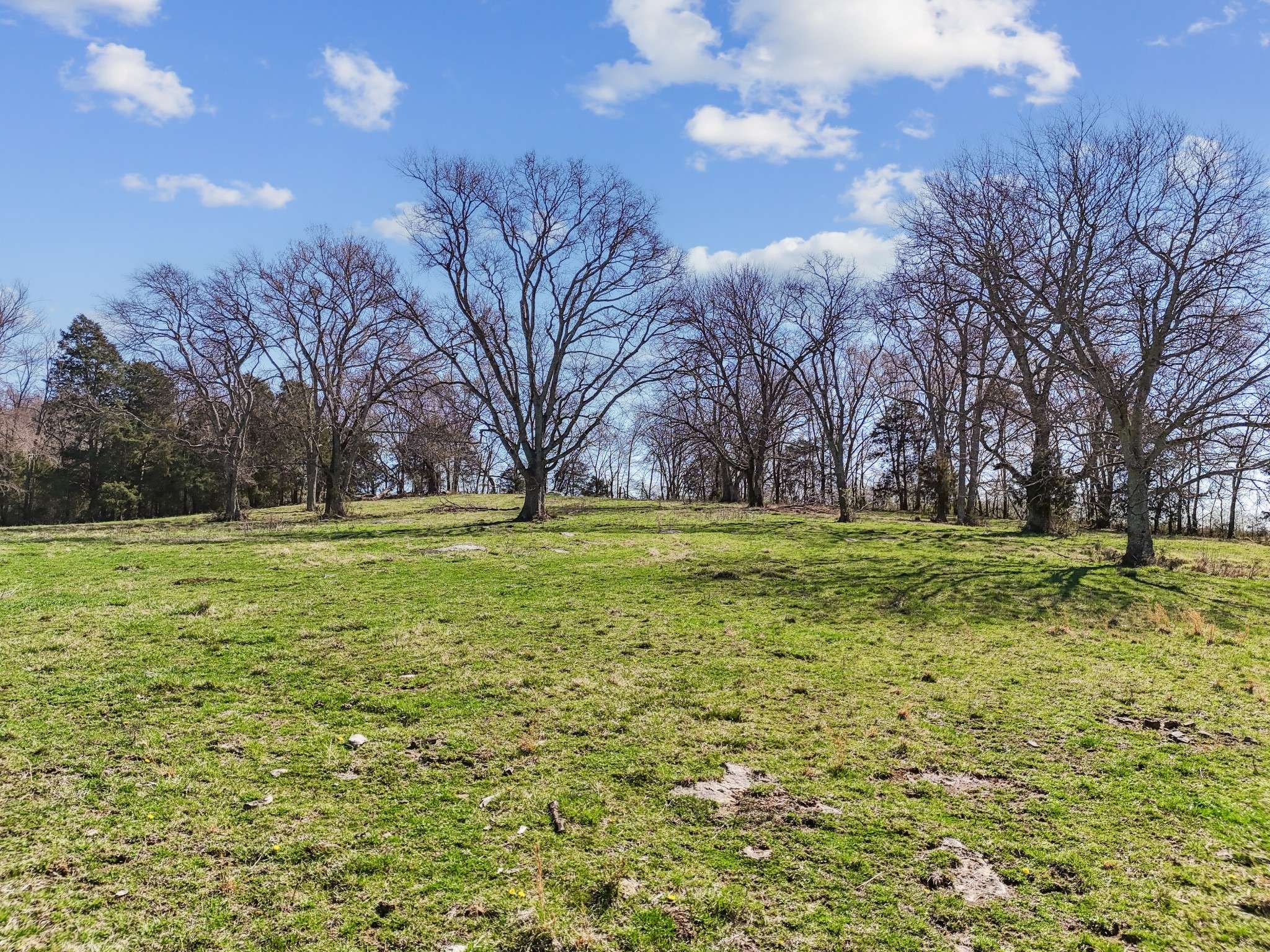 Beechgrove, TN 37018,0 Murfreesboro Hwy