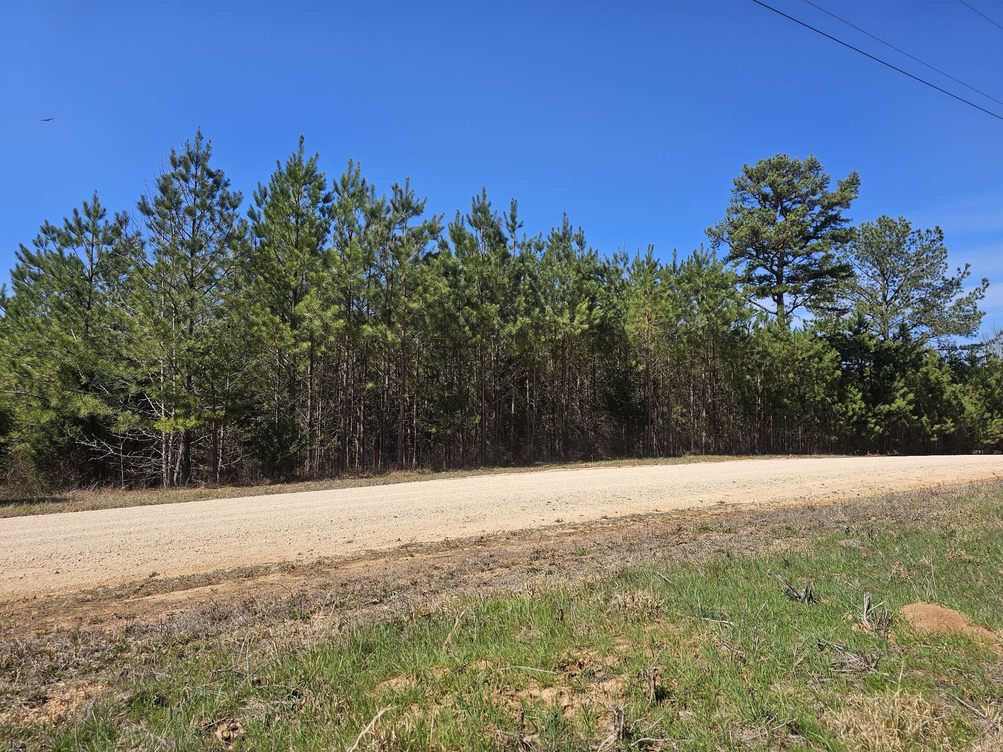 Bath Springs, TN 38311,0 Bridge View Cv