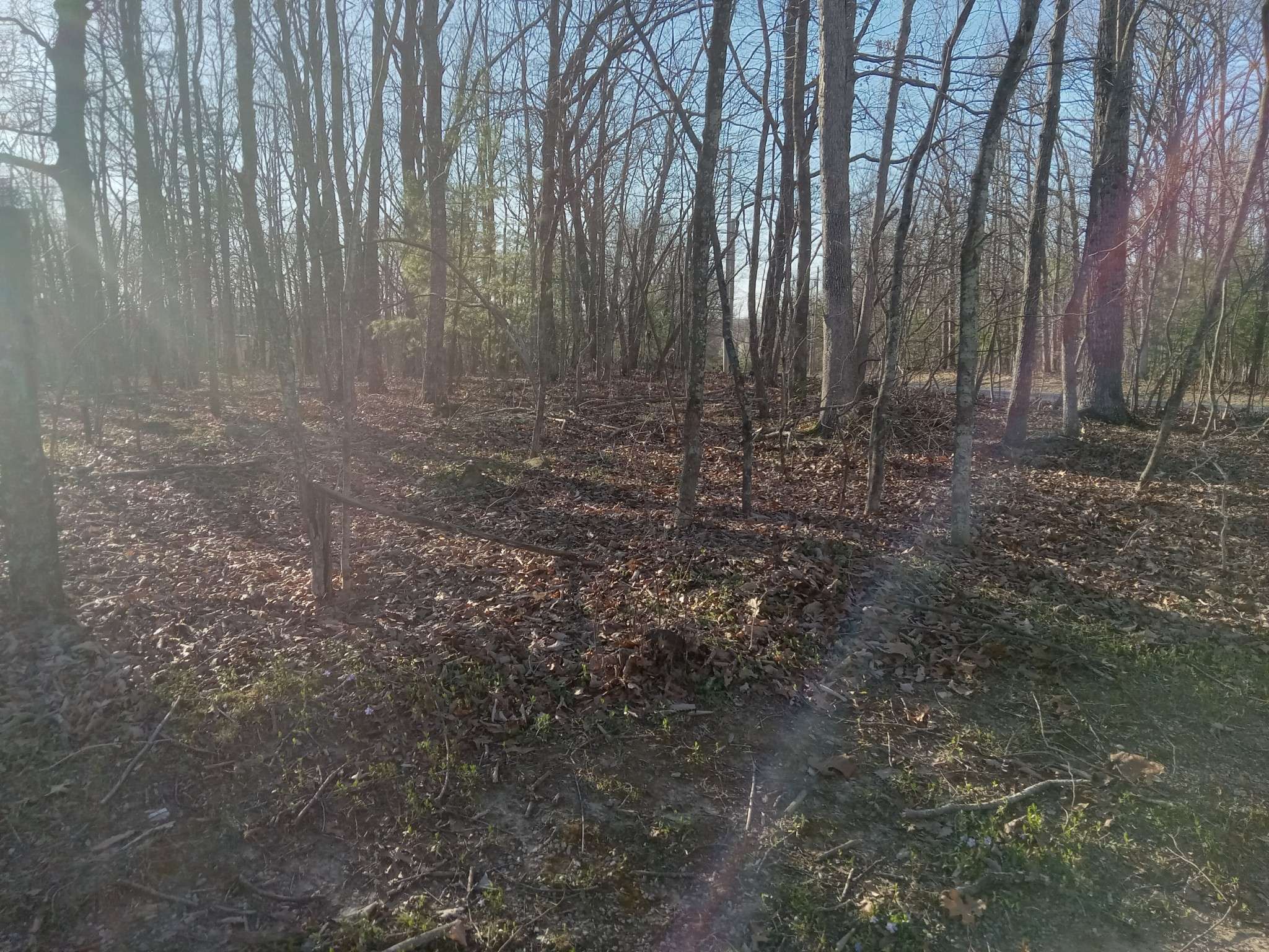 Crossville, TN 38558,315 Sheffield Ln