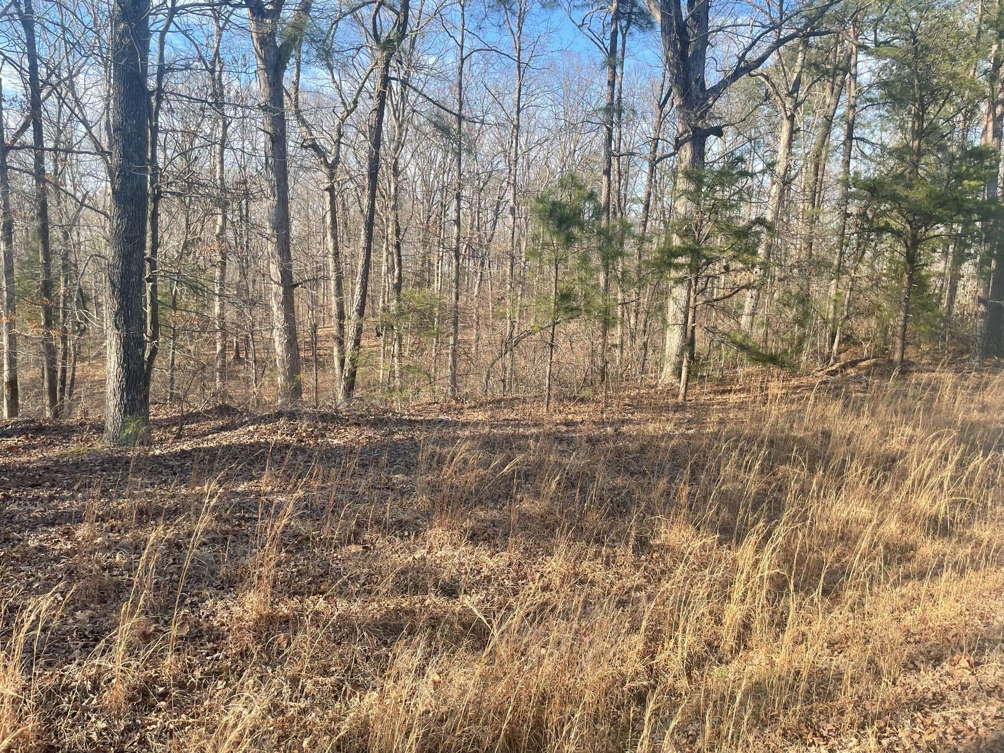 Henderson, TN 38340,217 Magee Trail