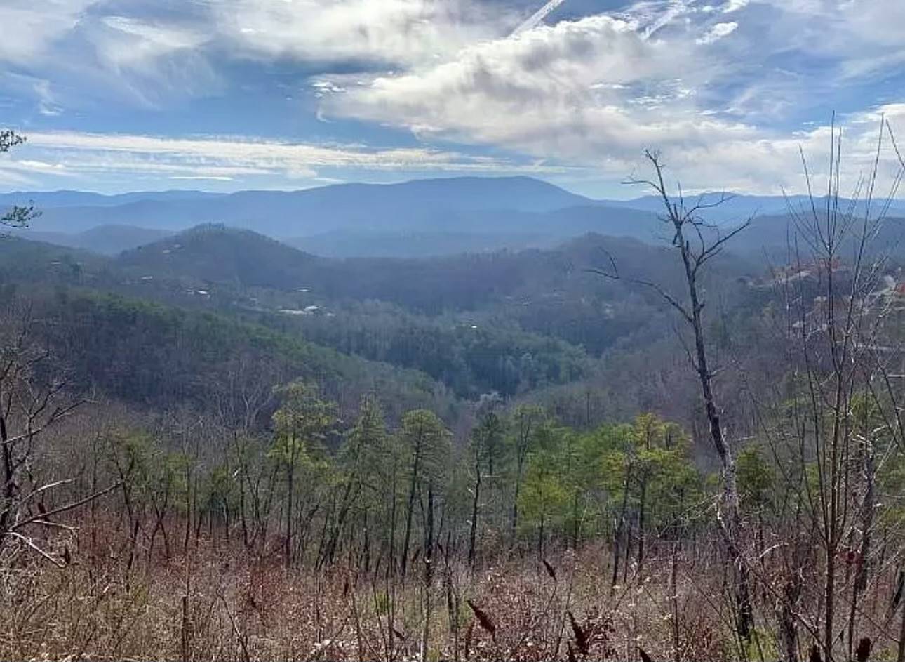 Sevierville, TN 37862,1060 Rayfield Hollow Way