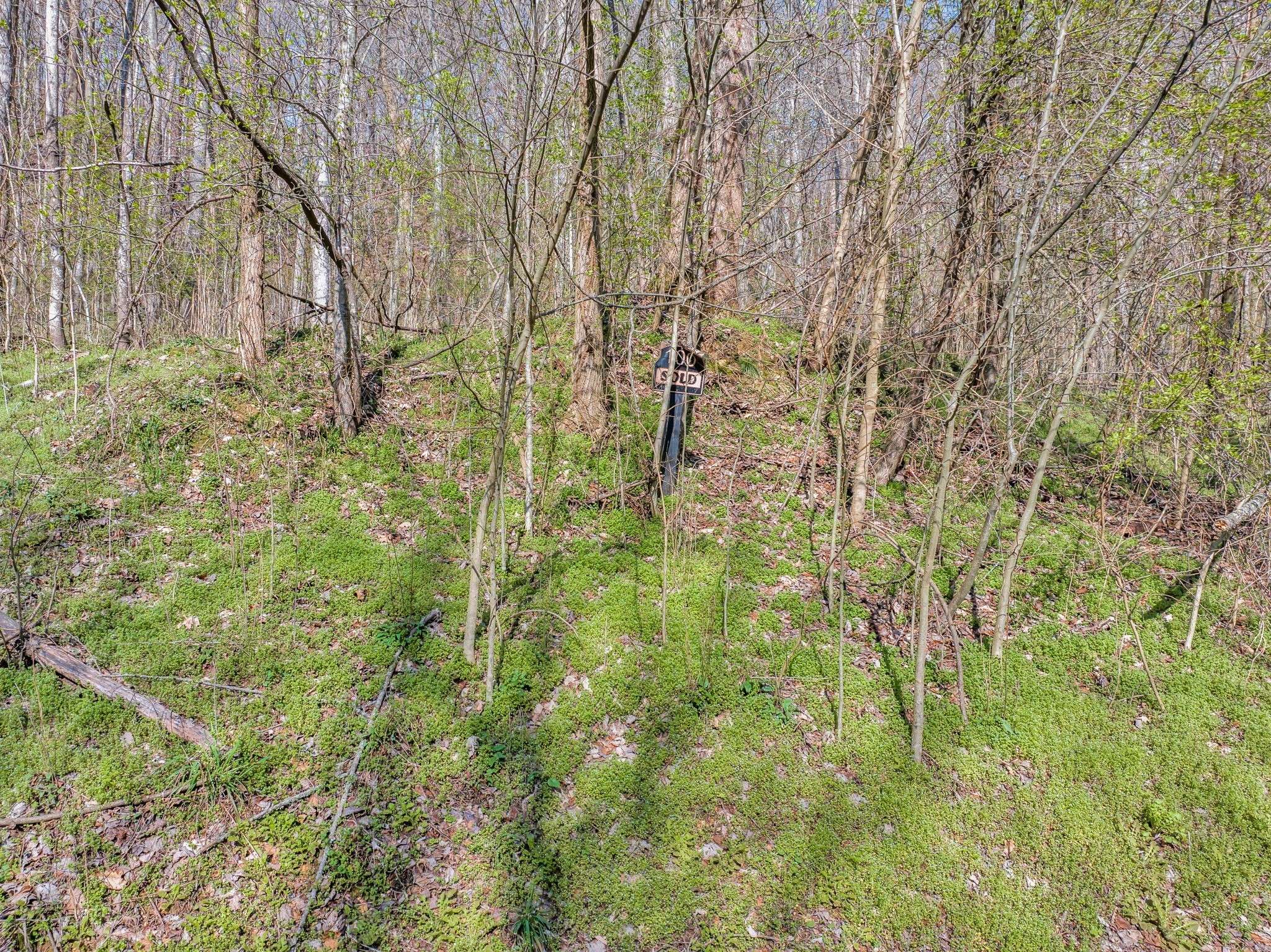 Smithville, TN 37166,0 Lake View Drive