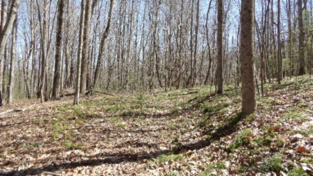Lancing, TN 37770,391 Ridge Rd