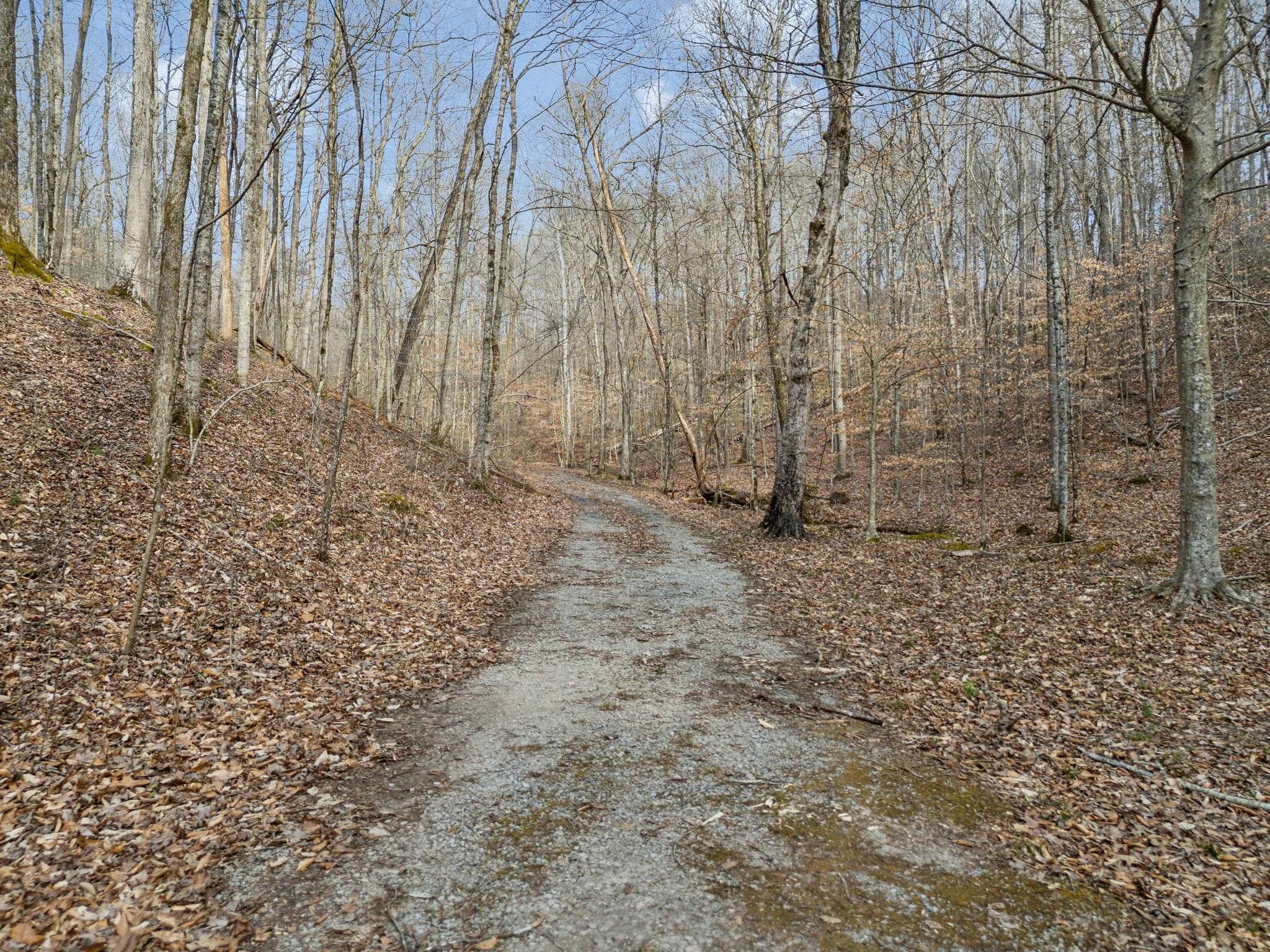 Goodlettsville, TN 37072,1 Crocker Springs Rd