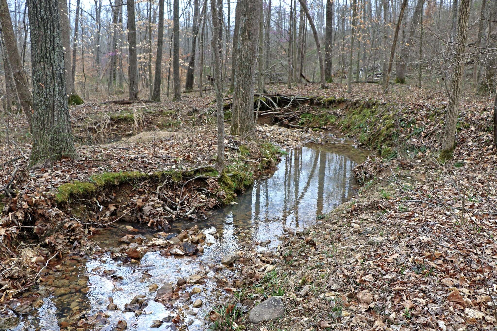 Vanleer, TN 37181,1L Oak Ridge Rd