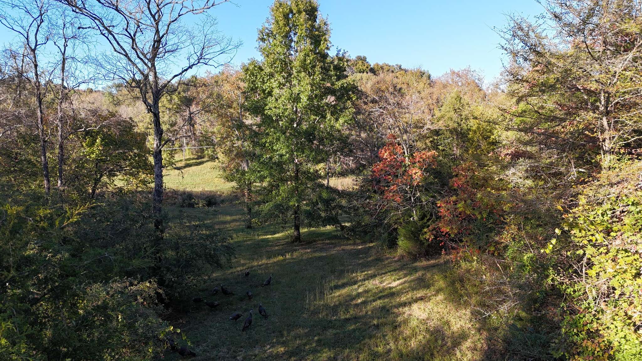 Williamsport, TN 38487,0 Akin Ridge Road