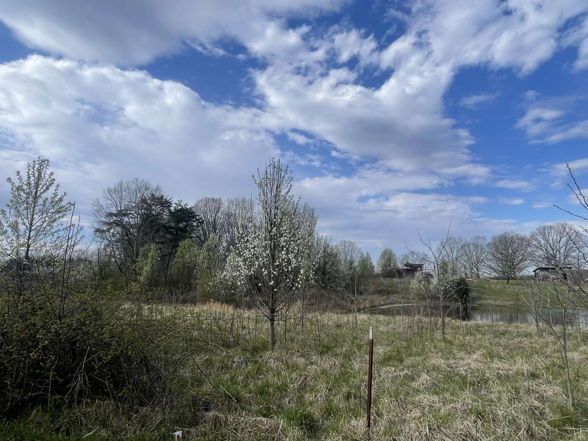 Pikeville, TN 37367,2 Watson Loop