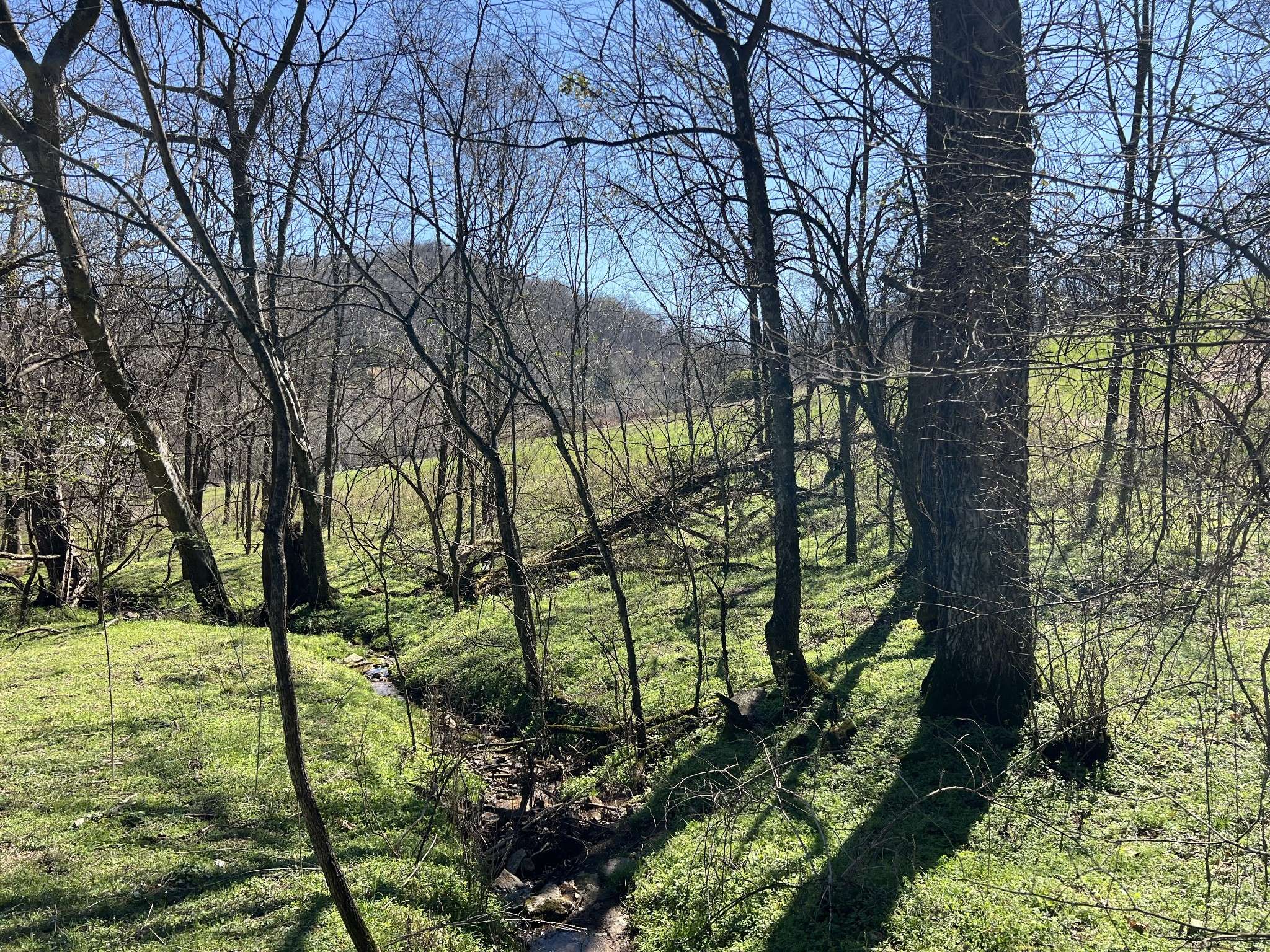 Bethpage, TN 37022,0 Hog Hollow Lane