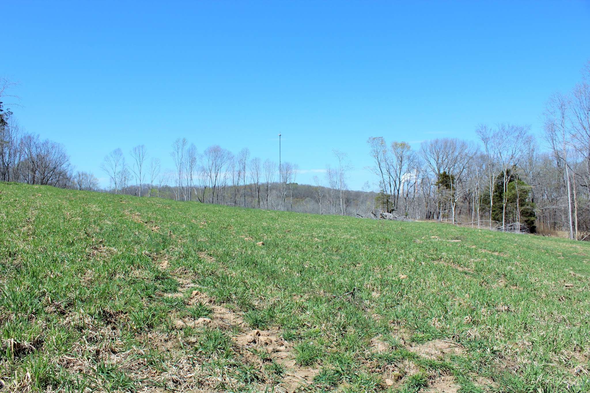 Cumberland City, TN 37050,1 Grices Creek Rd