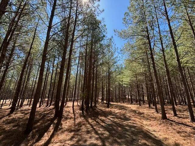 Soddy Daisy, TN 37379,0 Worley Road