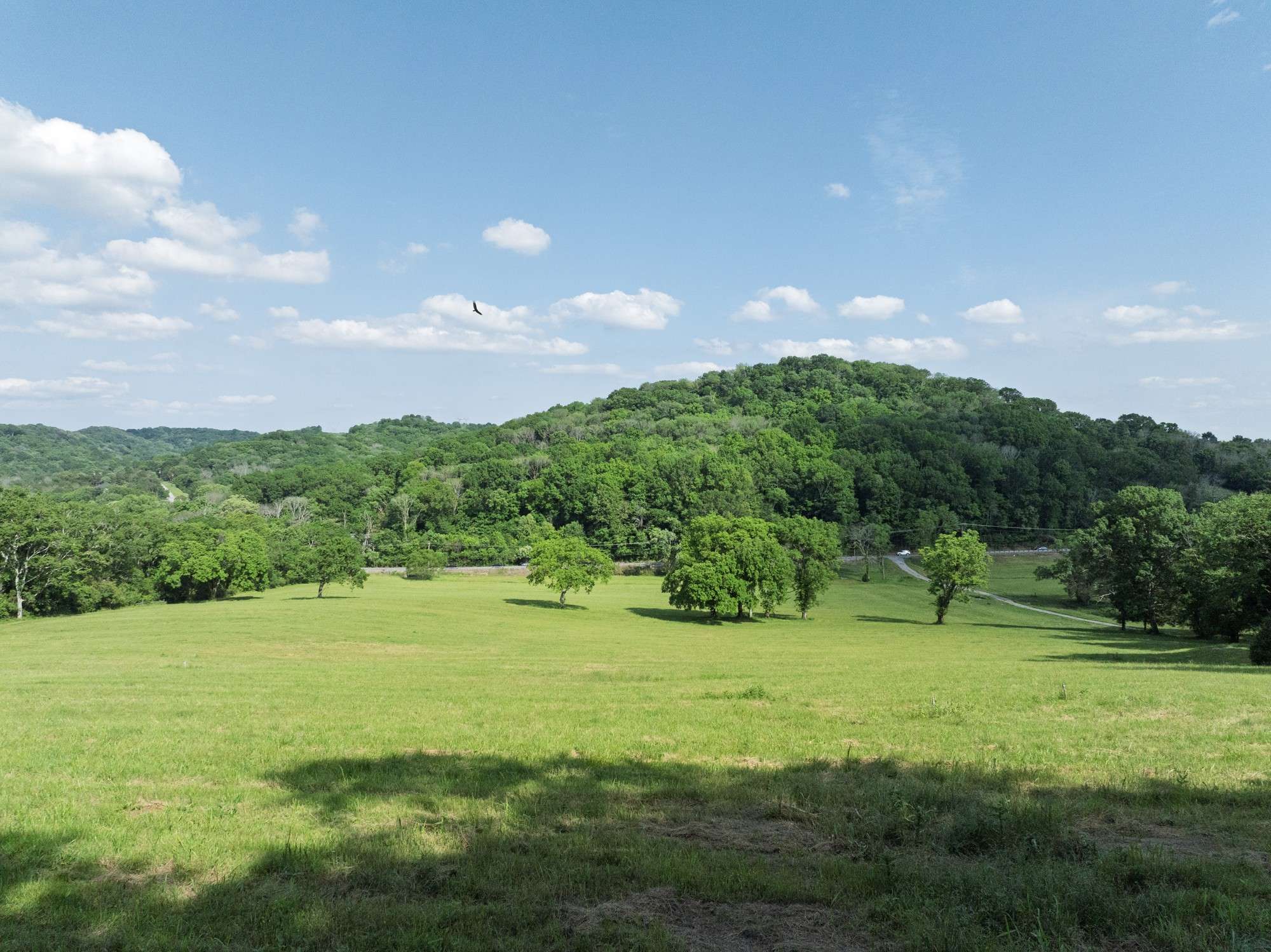 Franklin, TN 37069,1381 Old Hillsboro Rd