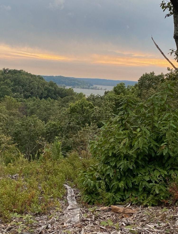Stewart, TN 37175,16 Lake Ridge Dr