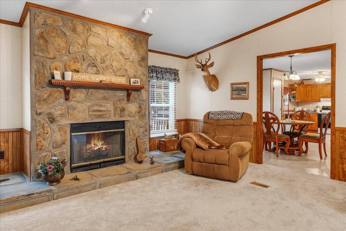 Vanleer, TN 37181,1765 Williamson Branch Rd