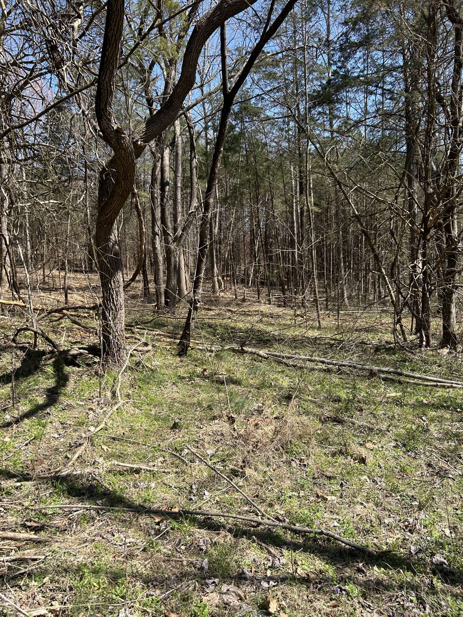 Dickson, TN 37055,820 Lucas Rd