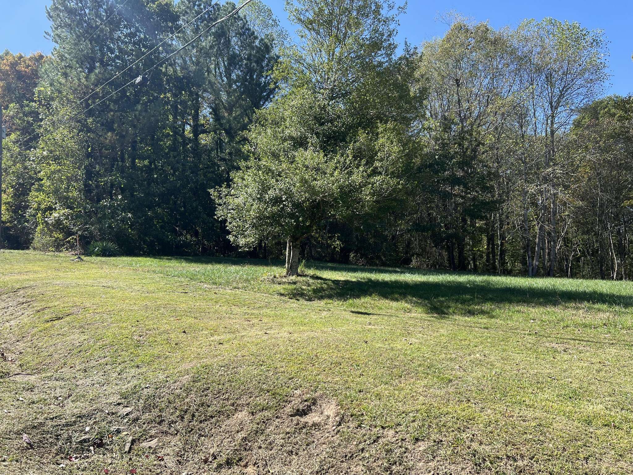 Tracy City, TN 37387,239 Gum St