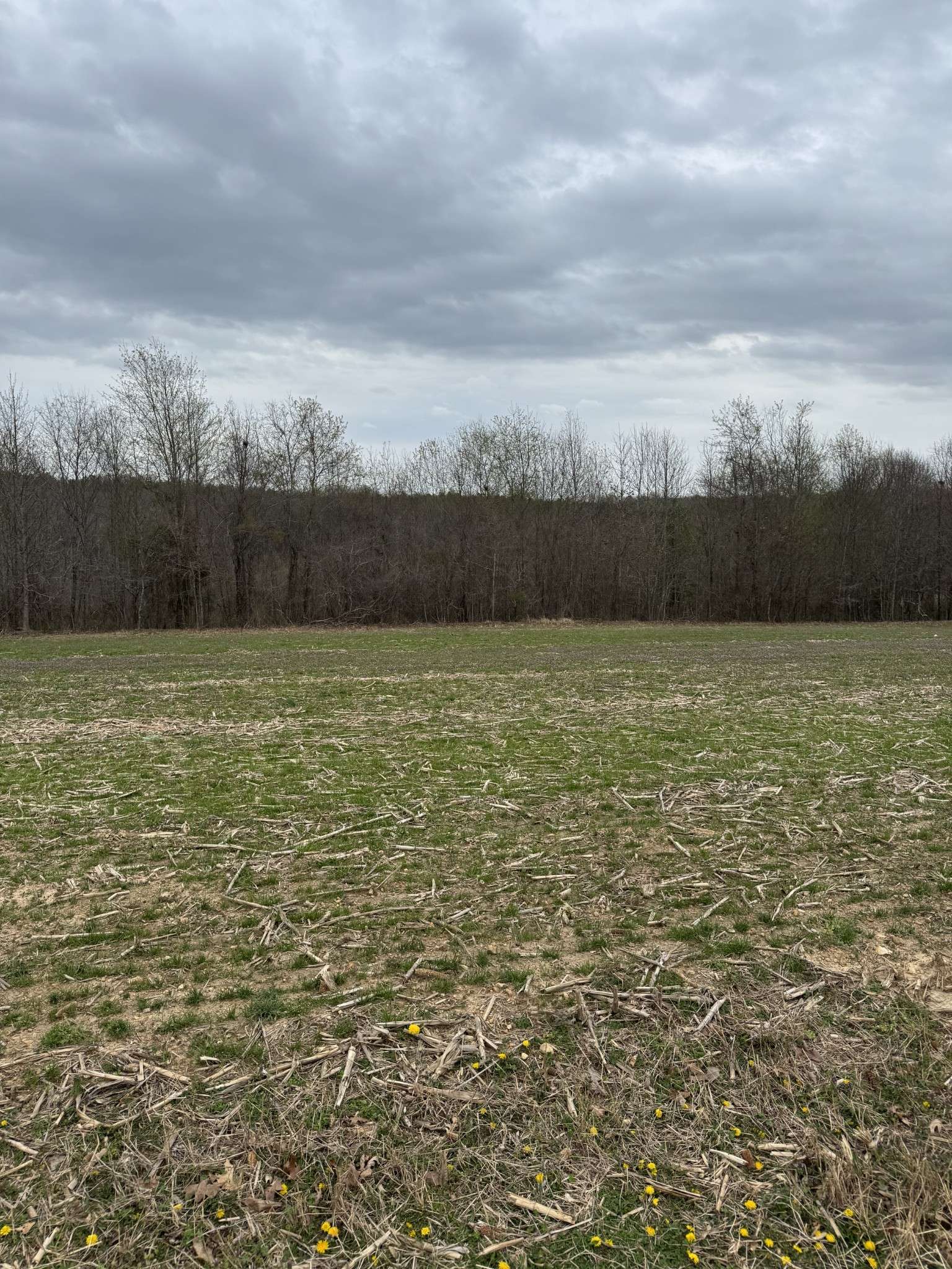 Lawrenceburg, TN 38464,0 Westside Rd