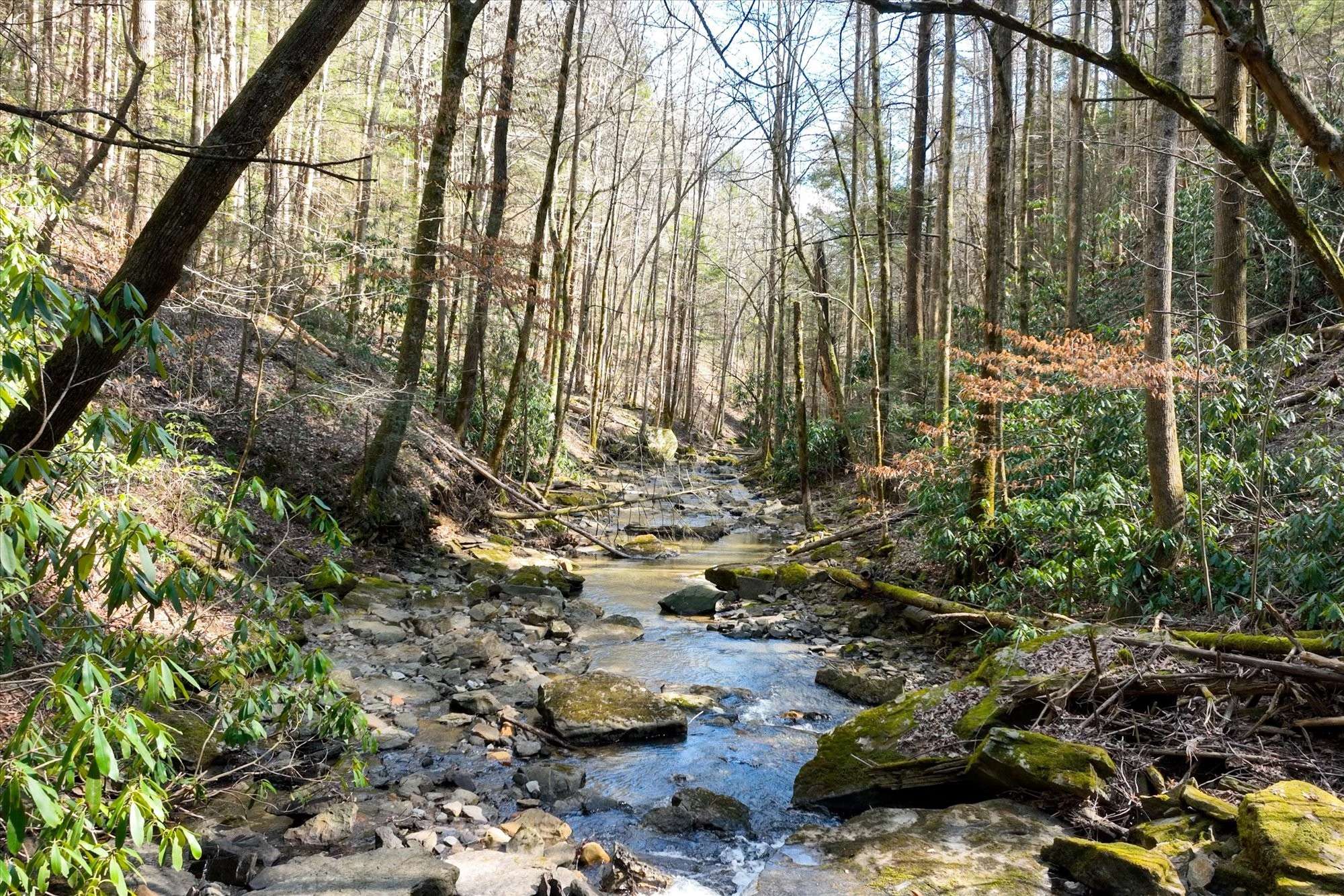 Crawford, TN 38554,5135 Wolf Branch Ln