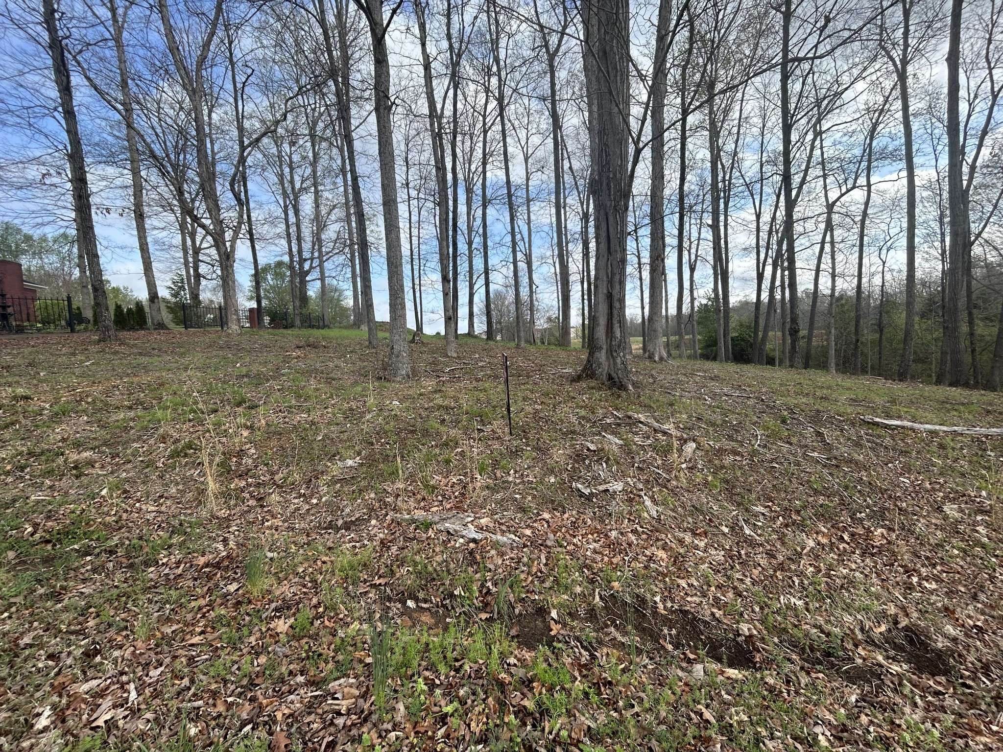 Loretto, TN 38469,0 Fairway Circle