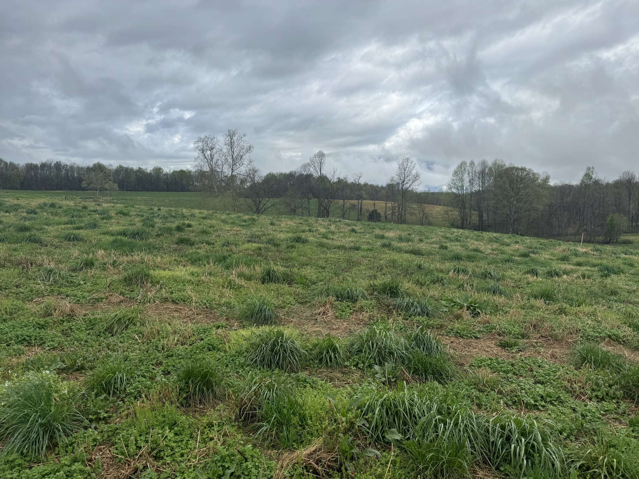 Red Boiling Springs, TN 37150,0 Oak Grove Rd