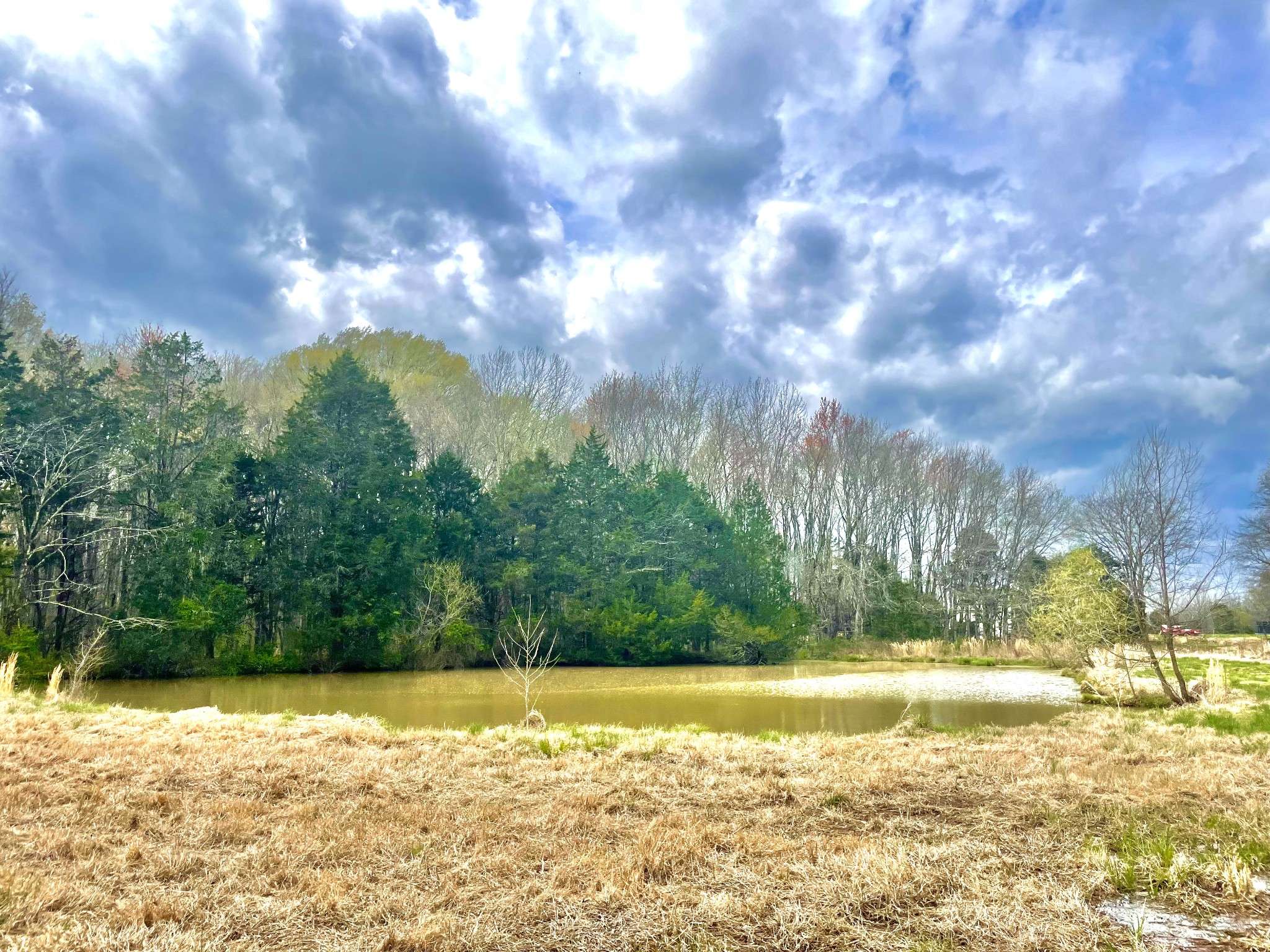 Eagleville, TN 37060,2471 Taylor Ln