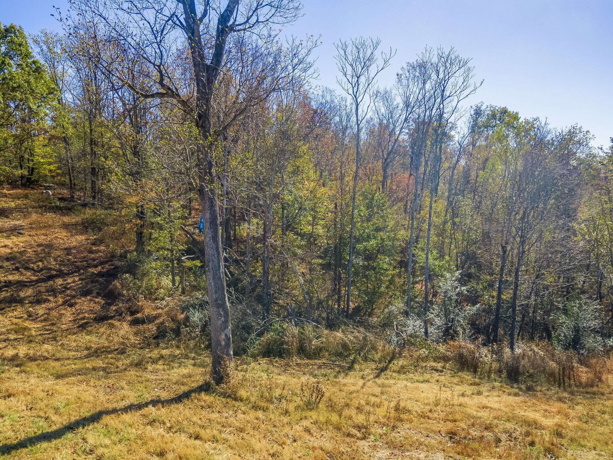Williamsport, TN 38487,0 Persimmon Ridge Rd