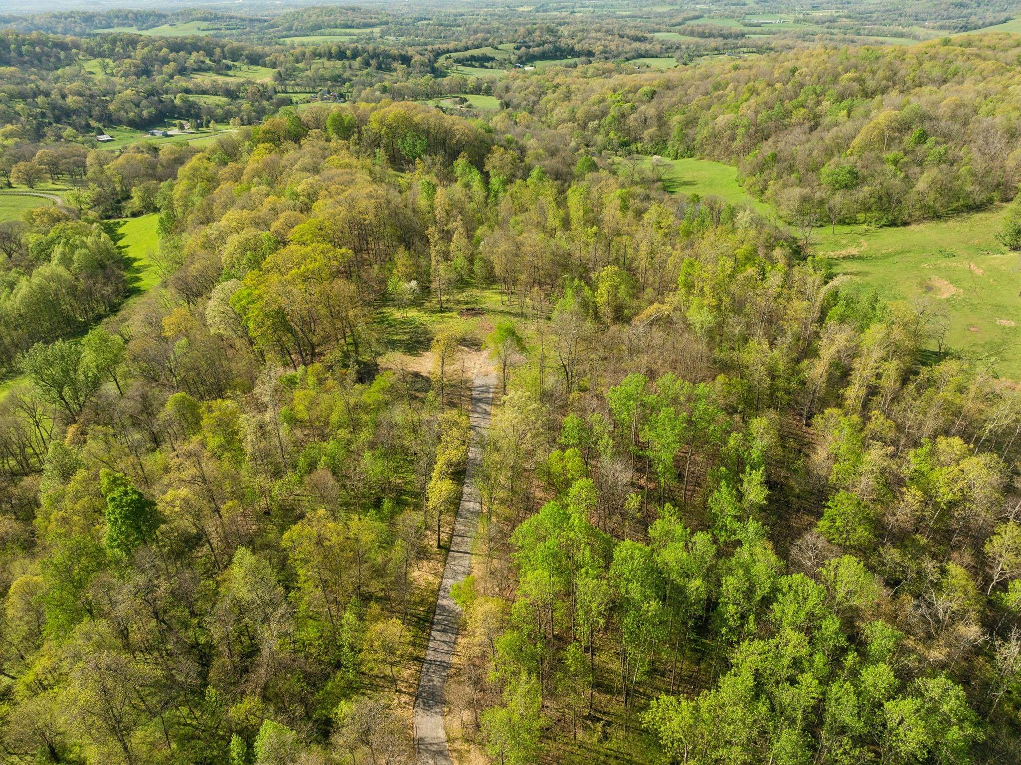 Williamsport, TN 38487,0 Persimmon Ridge Rd