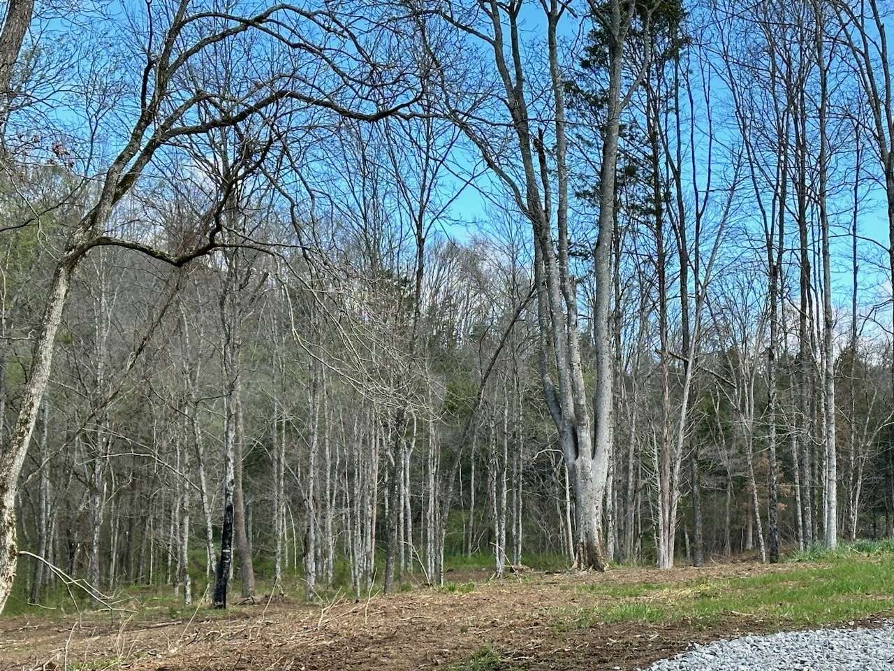 Pulaski, TN 38478,0 Campbellsville Road