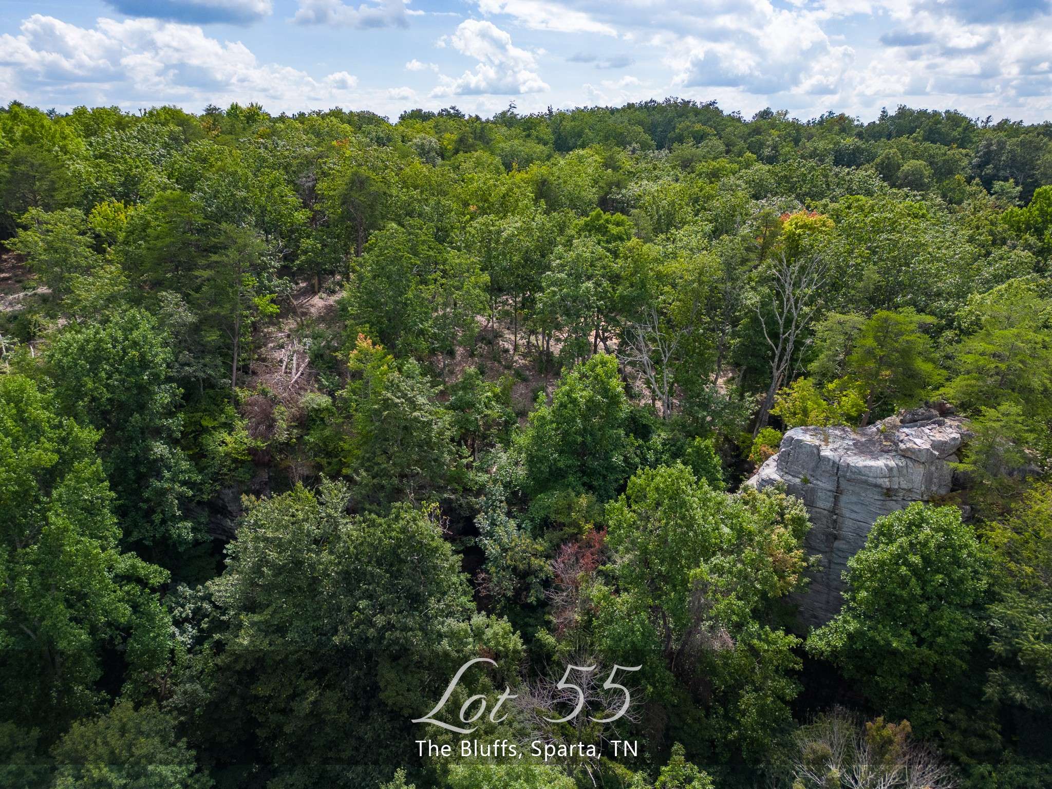 Sparta, TN 38583,233 Crest View Ln