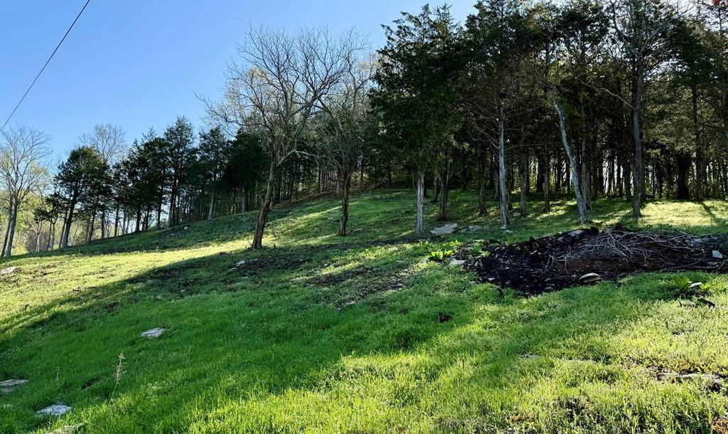 Silver Point, TN 38582,84 Harbor Pointe Drive