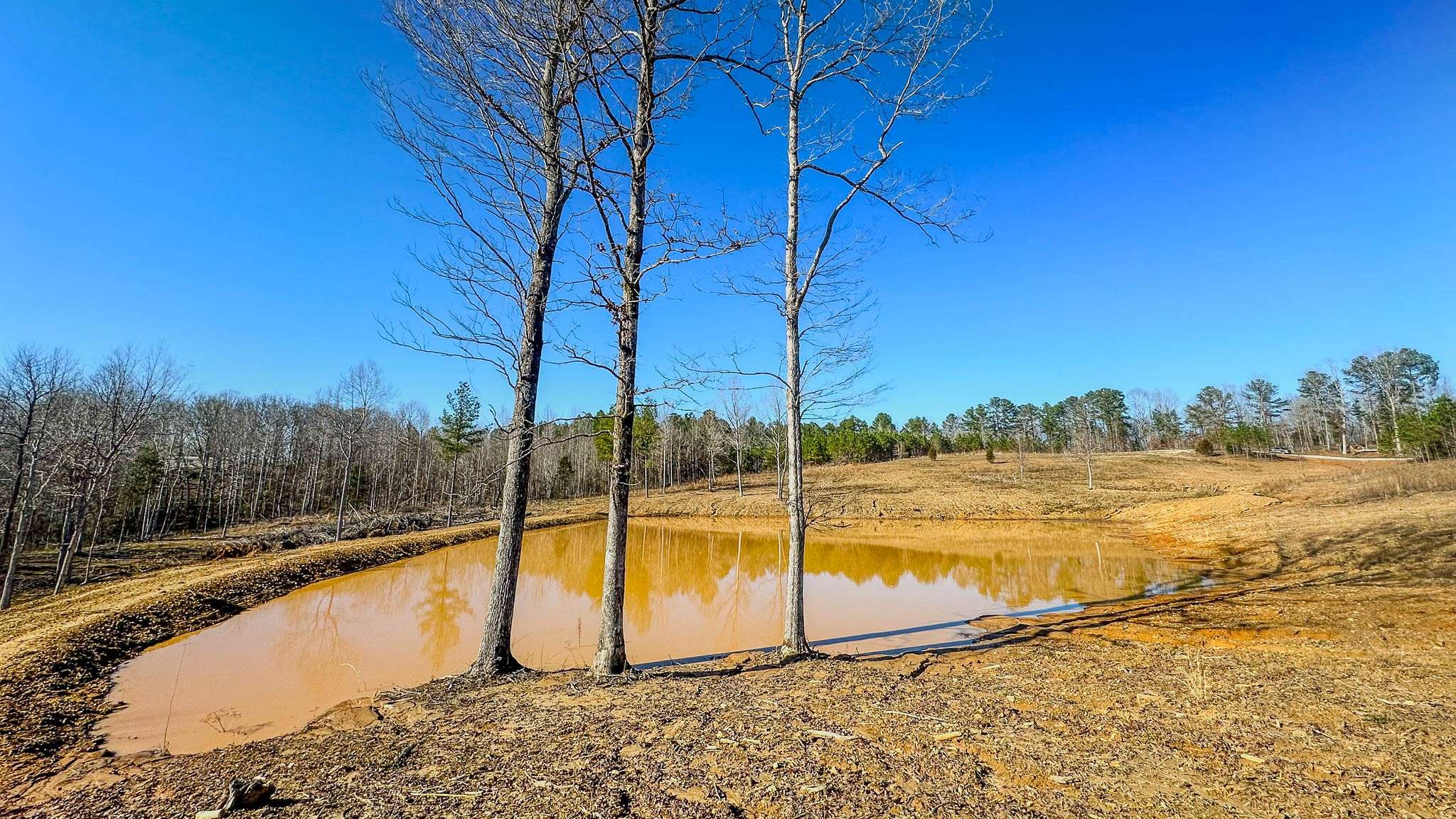 Parsons, TN 38363,0 Jeanette Holladay Rd