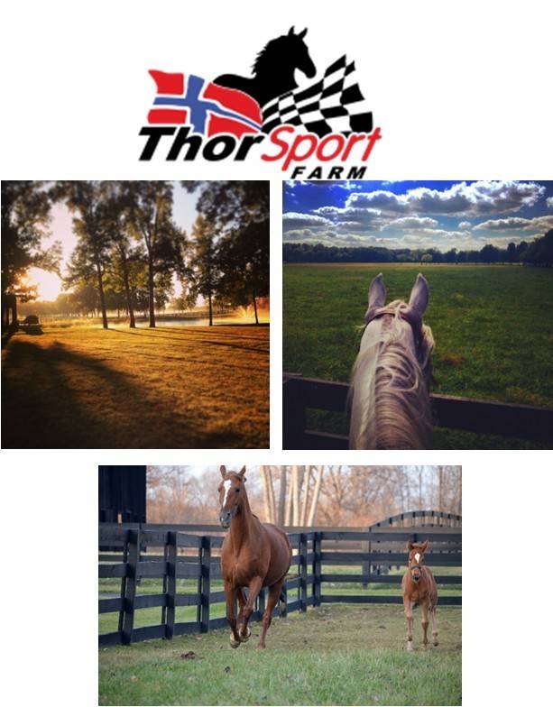 Murfreesboro, TN 37128,3880 Barfield Crescent Rd