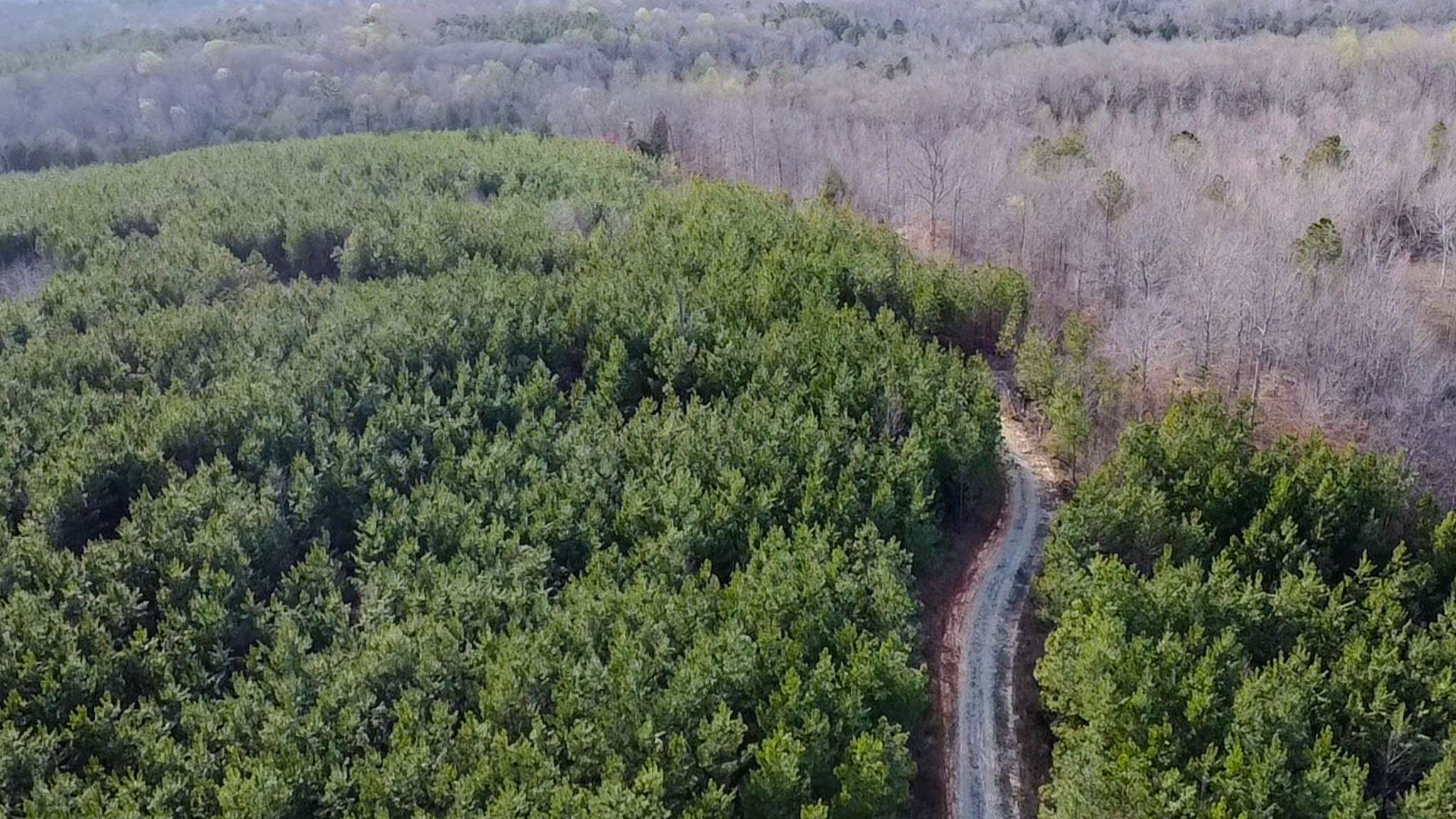 Parsons, TN 38363,0 Jeanette Holladay Rd