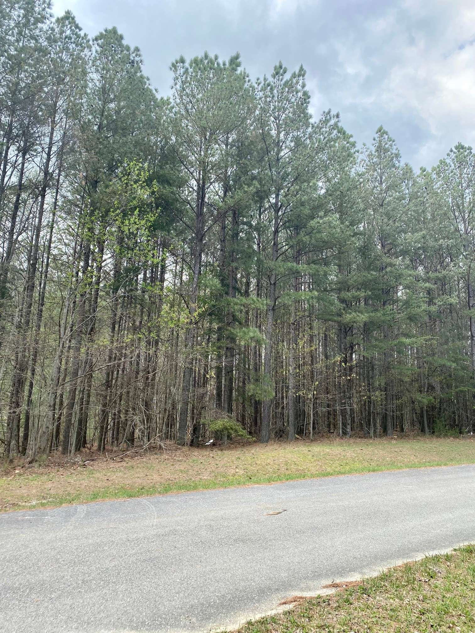 Spencer, TN 38585,0 Hickory Nut Trl