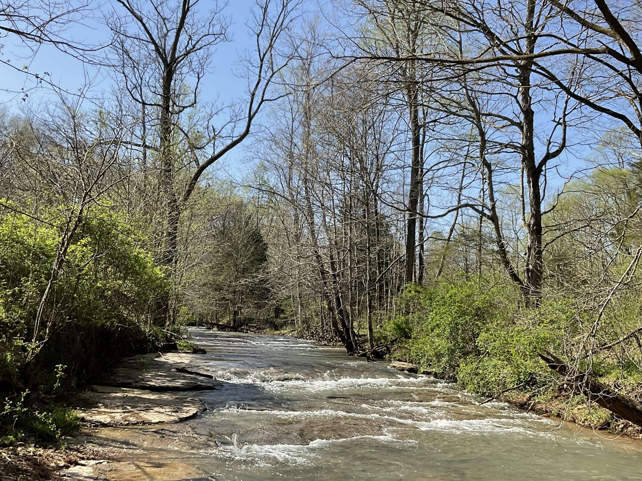 Palmyra, TN 37142,3712 Budds Creek Rd