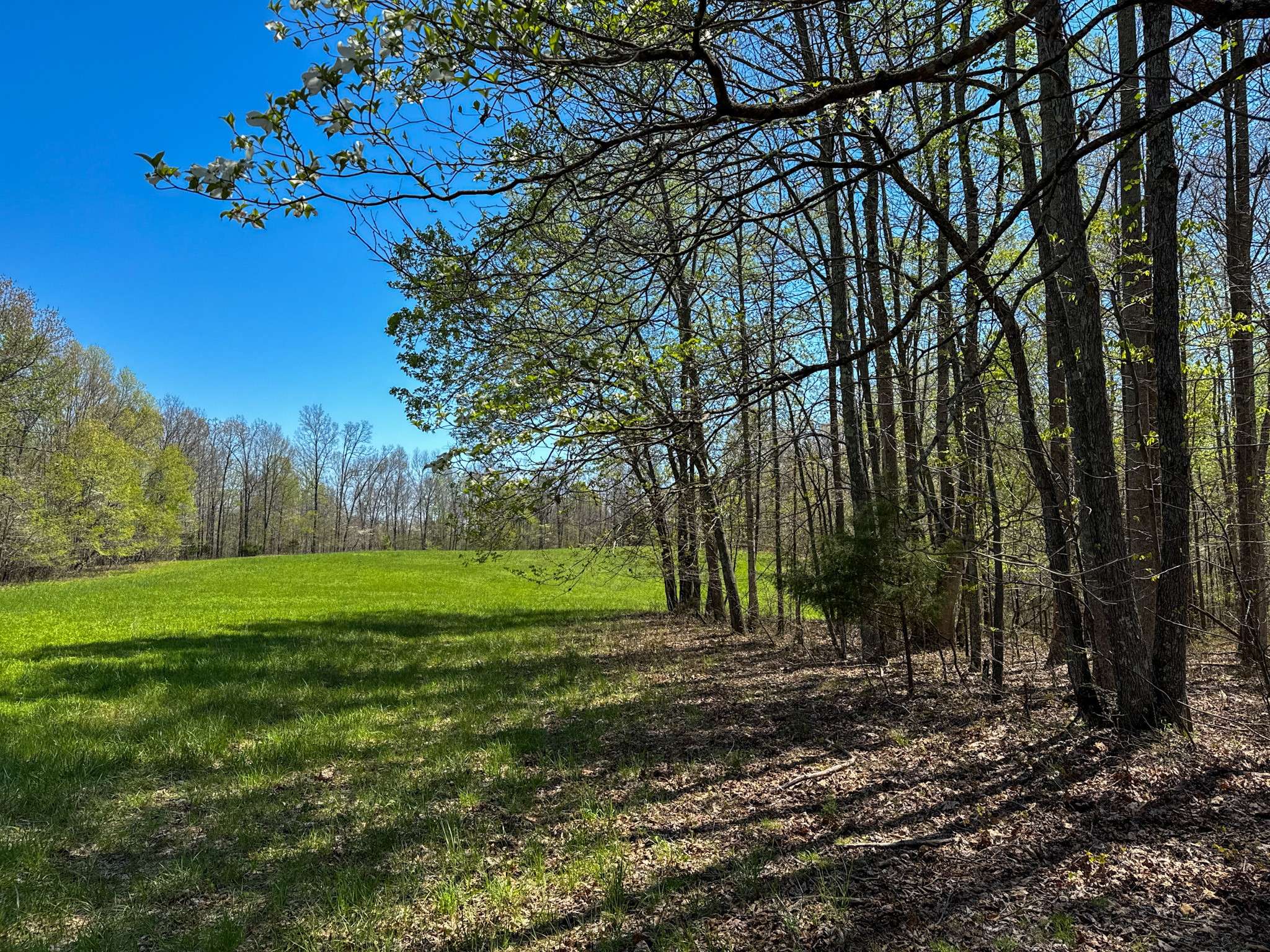 Lawrenceburg, TN 38464,3850 Grandaddy Rd