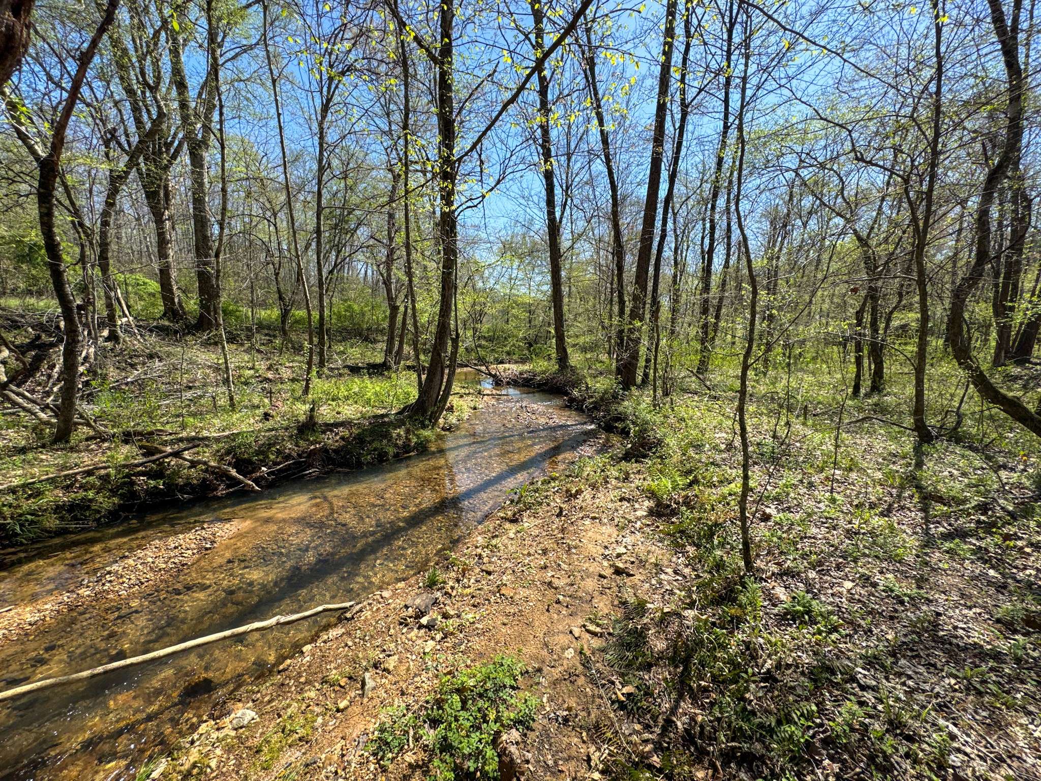 Lawrenceburg, TN 38464,3850 Grandaddy Rd